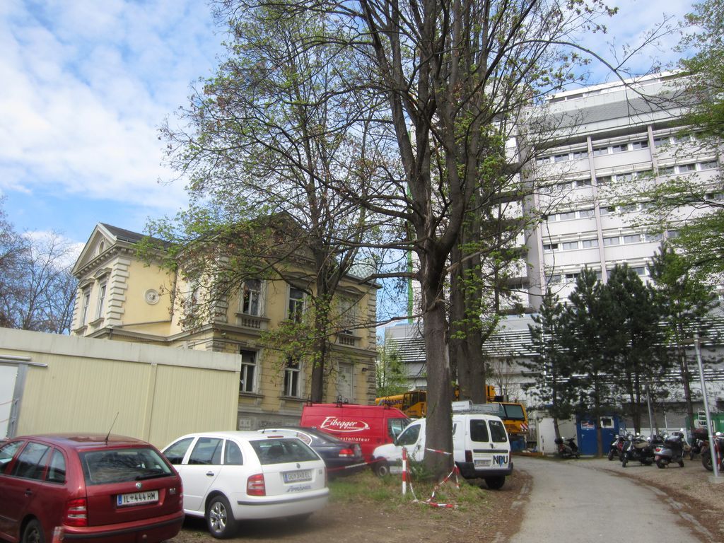 Datei:Hilmteichstraße 10, Baustelle.JPG