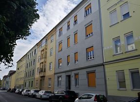 links grün, Ansicht aus Nordost - 2022